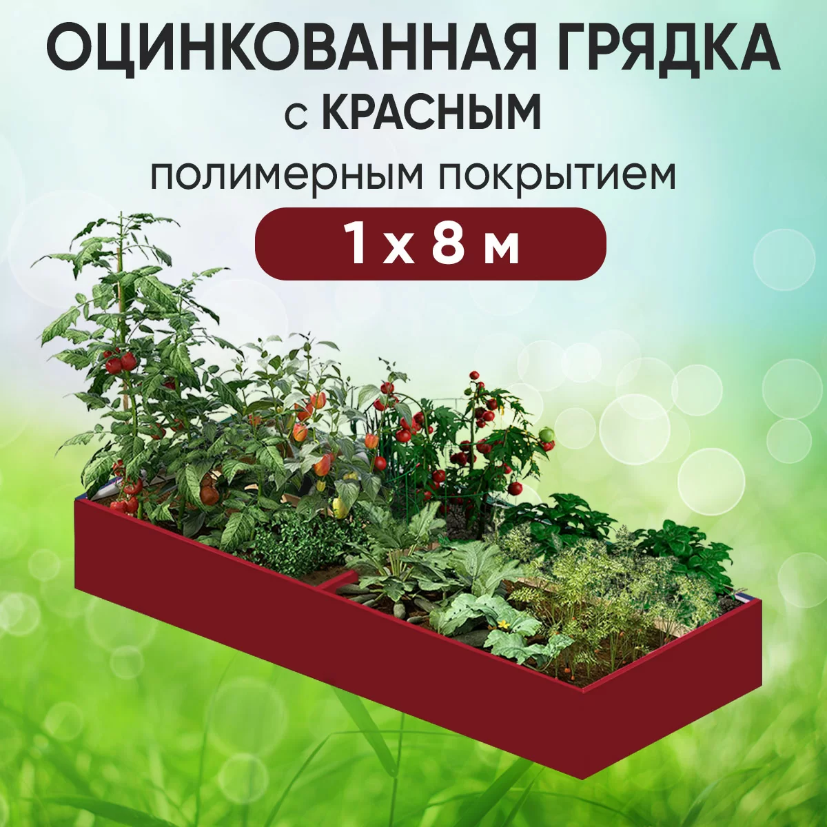 Грядка красная (1 х 8)