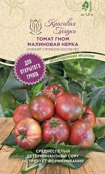 Томат Гном малиновая нерка