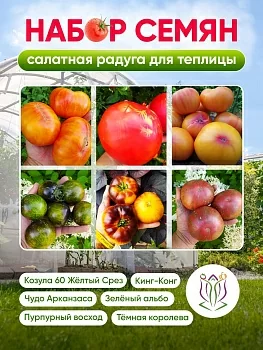 Набор семян "Салатная радуга для теплицы"