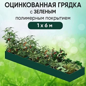 Грядка зеленая (1 х 6)