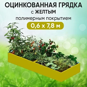 Грядка желтая (0,6 х 7,8)